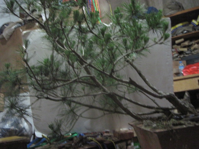 13-06-21 002.jpg