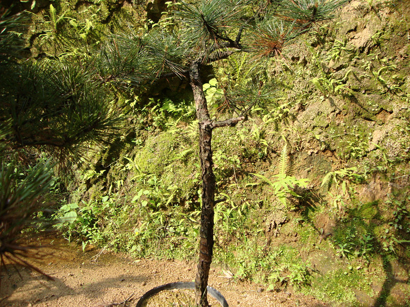 DSC01092_.jpg
