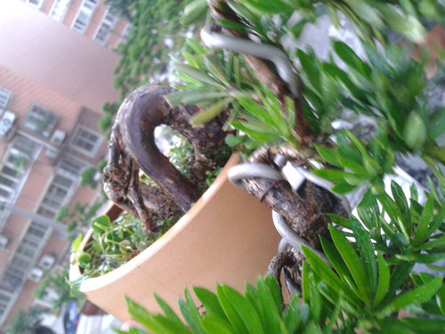 2013-06-21 18.30.00.jpg