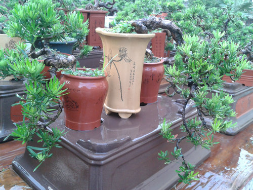 2013-06-21 18.19.57.jpg