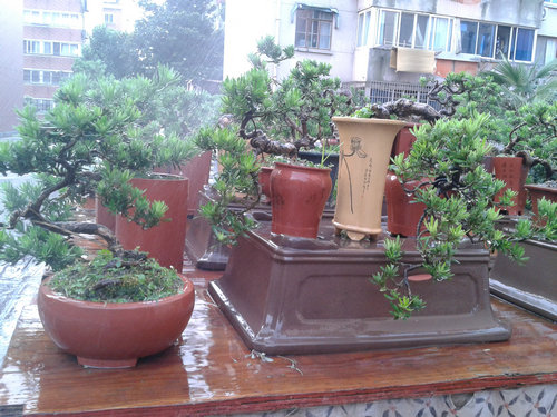 2013-06-21 18.24.14.jpg
