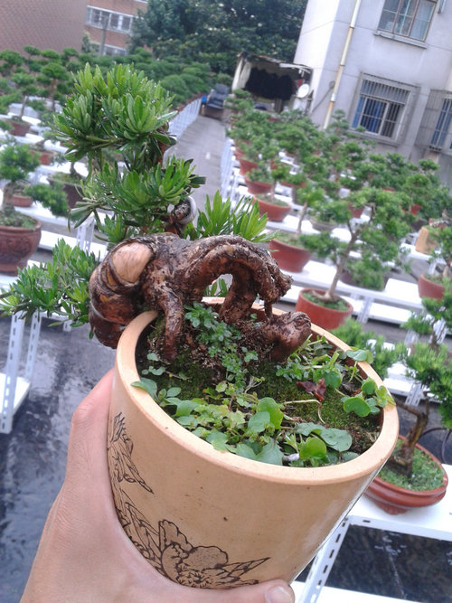 2013-06-21 18.29.03.jpg