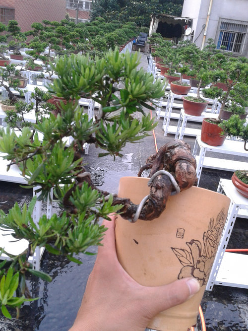 2013-06-21 18.29.31.jpg