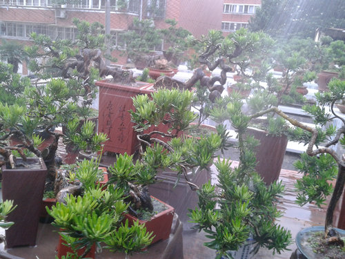 2013-06-21 18.25.27.jpg