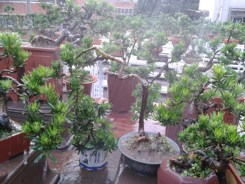 2013-06-21 18.25.35.jpg