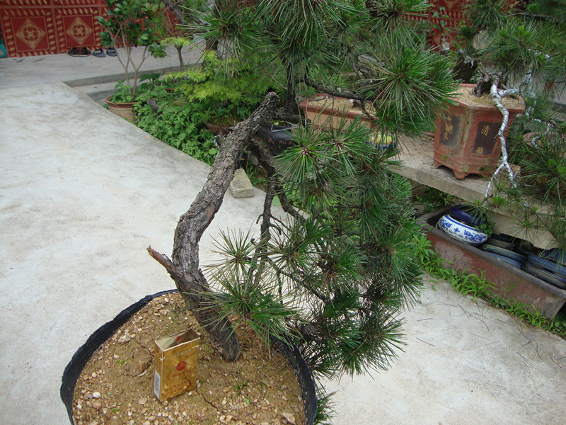 DSC01186_.jpg