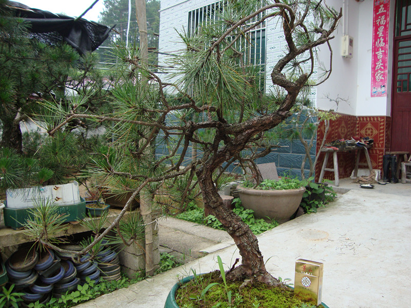 DSC01187_.jpg