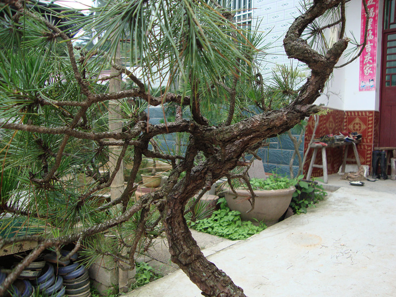 DSC01189_.jpg