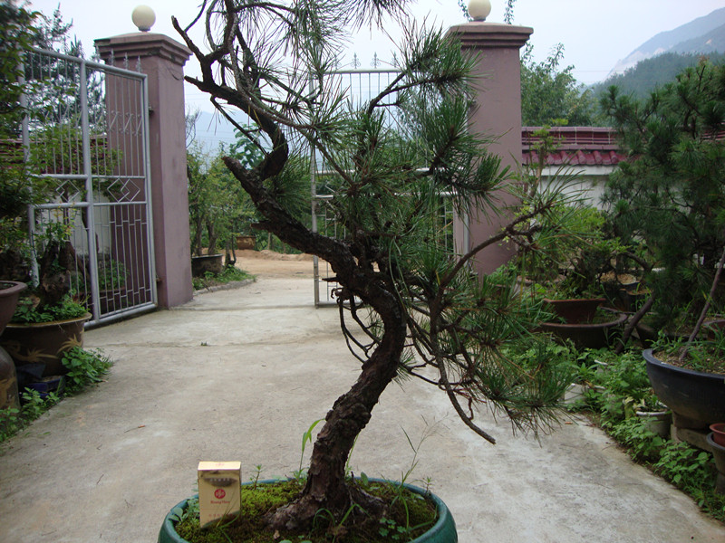 DSC01190_.jpg