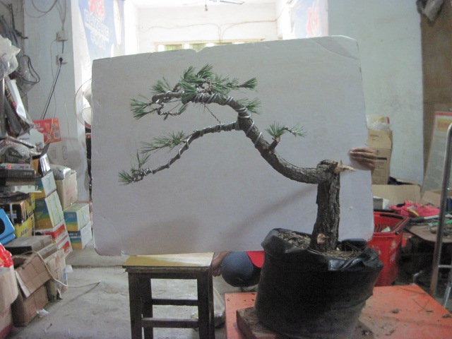13-06-24 005.jpg