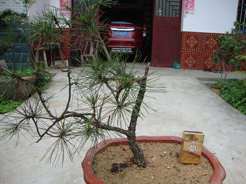 DSC01192_.jpg