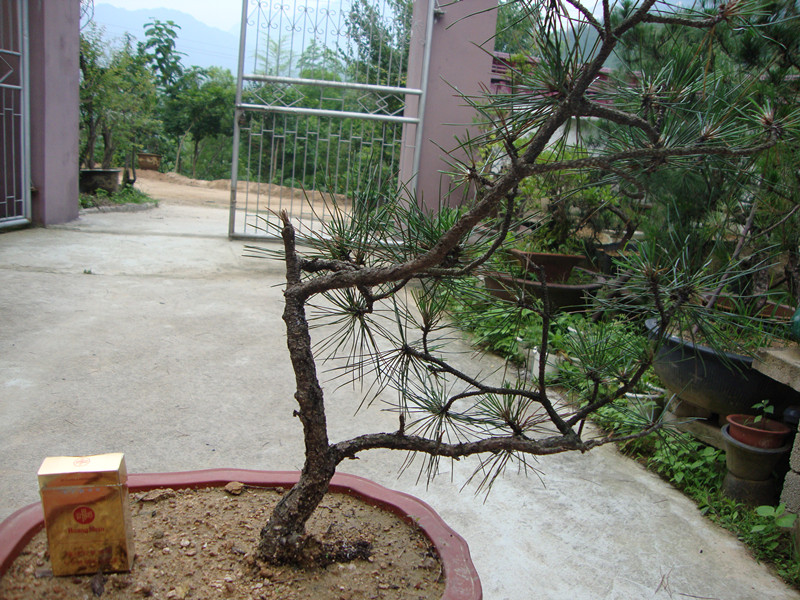 DSC01193_.jpg