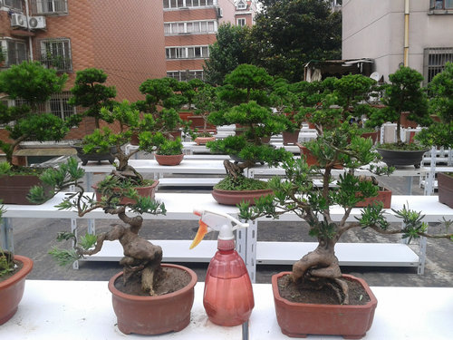 2013-06-24 11.57.48.jpg