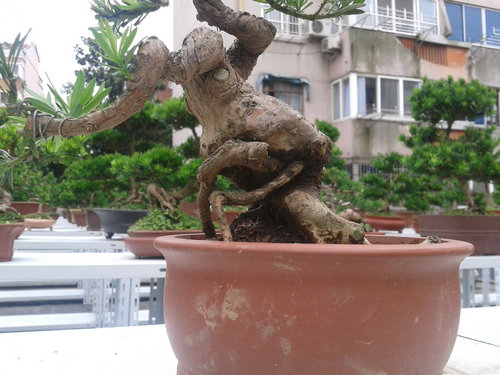 2013-06-24 11.58.57.jpg