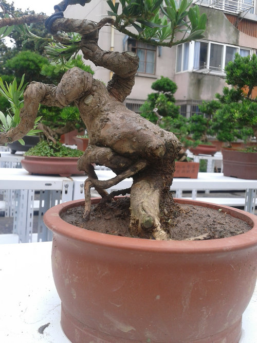 2013-06-24 11.59.32.jpg