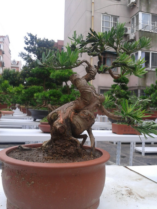 2013-06-24 12.00.44.jpg