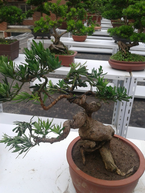 2013-06-24 12.01.42.jpg