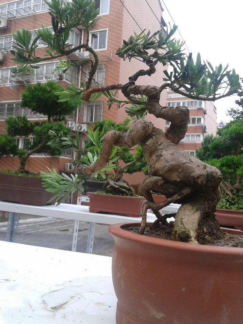 2013-06-24 12.03.45.jpg