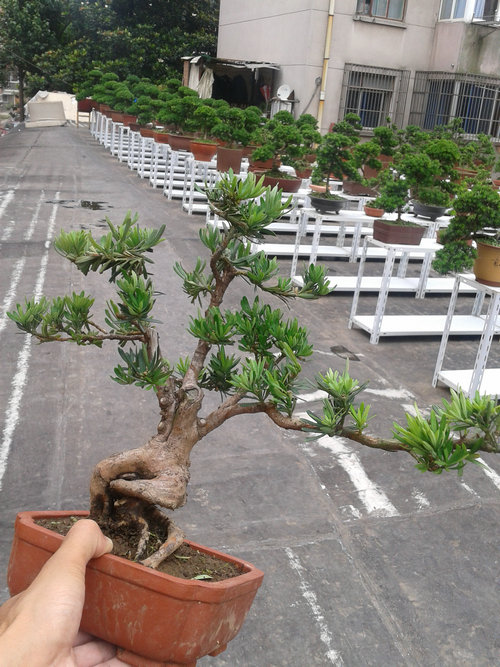 2013-06-24 12.09.52.jpg