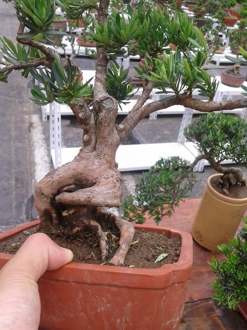 2013-06-24 12.10.44.jpg