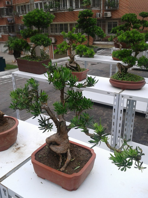 2013-06-24 12.14.39.jpg
