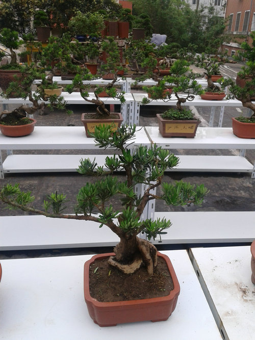 2013-06-24 12.06.23.jpg