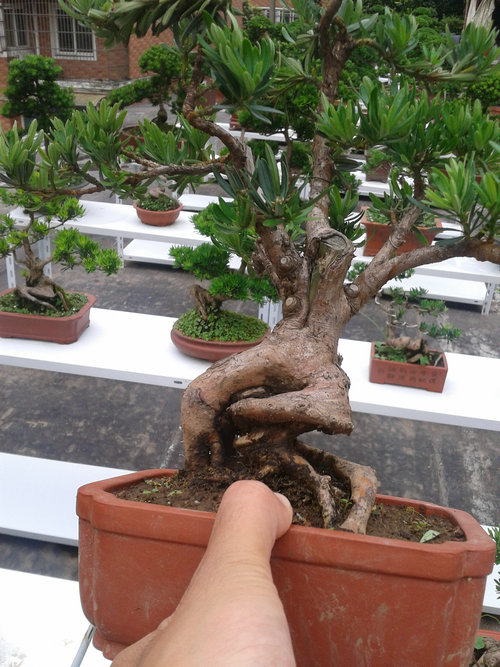 2013-06-24 12.09.25.jpg