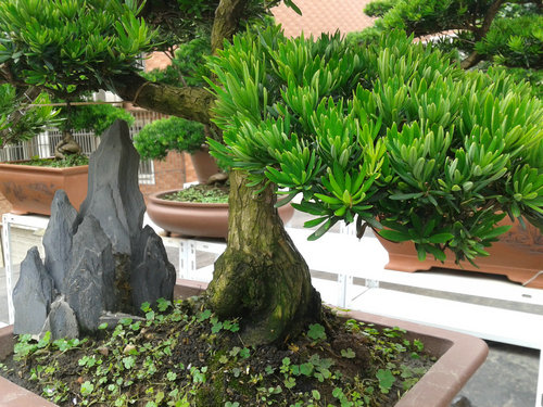 2013-06-24 12.48.42.jpg