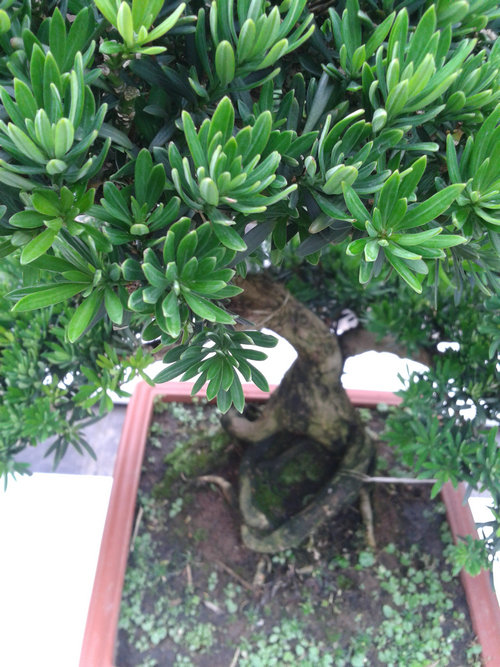 2013-06-24 12.49.18.jpg