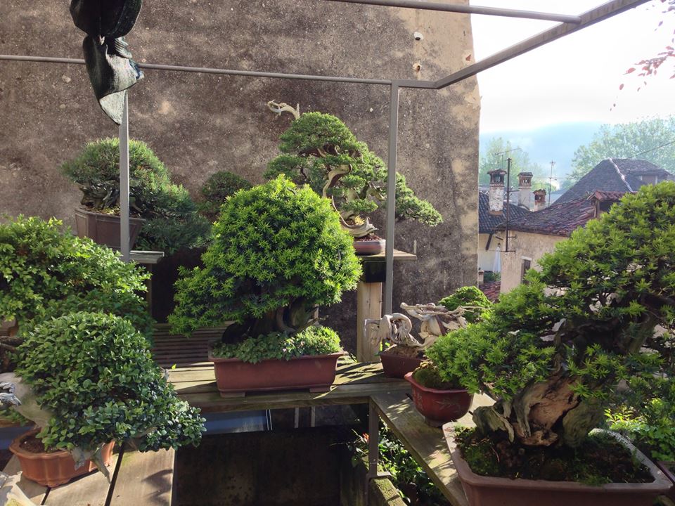 Spring2013_1.jpg