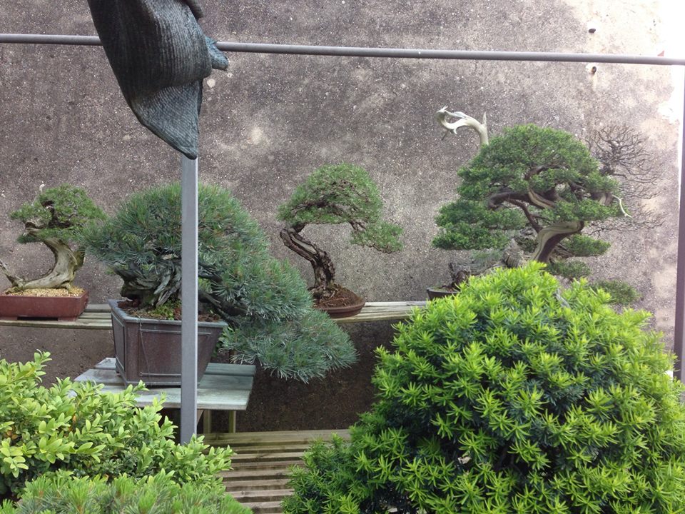 Spring2013_10.jpg