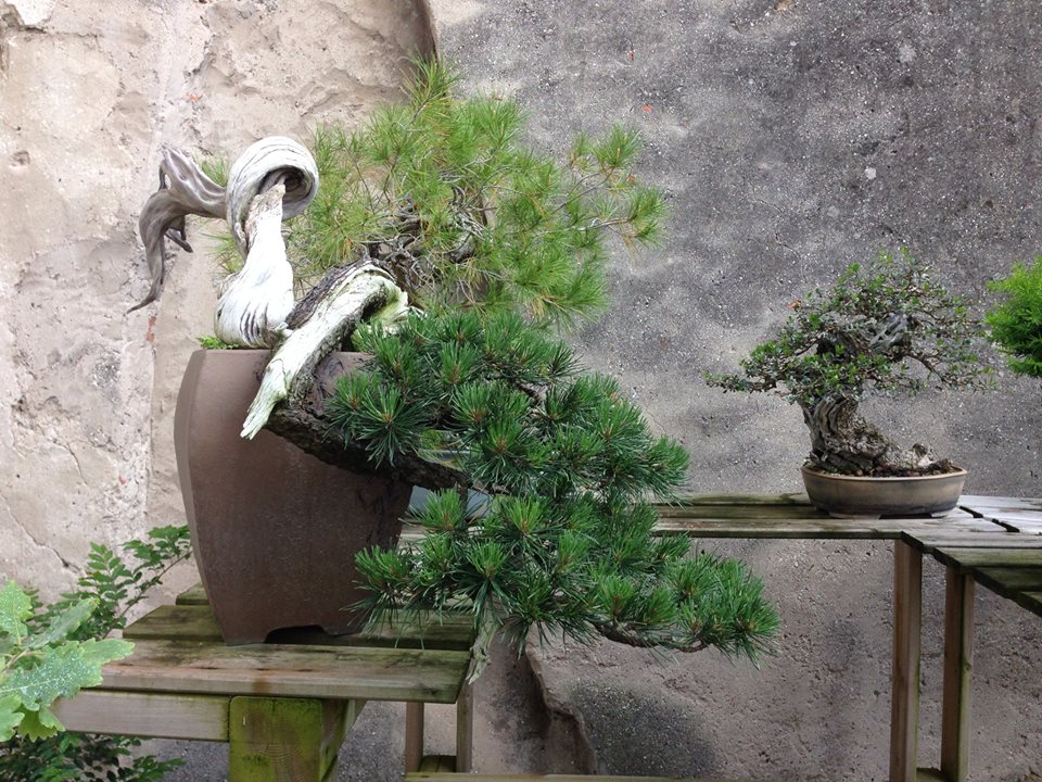 Spring2013_13.jpg