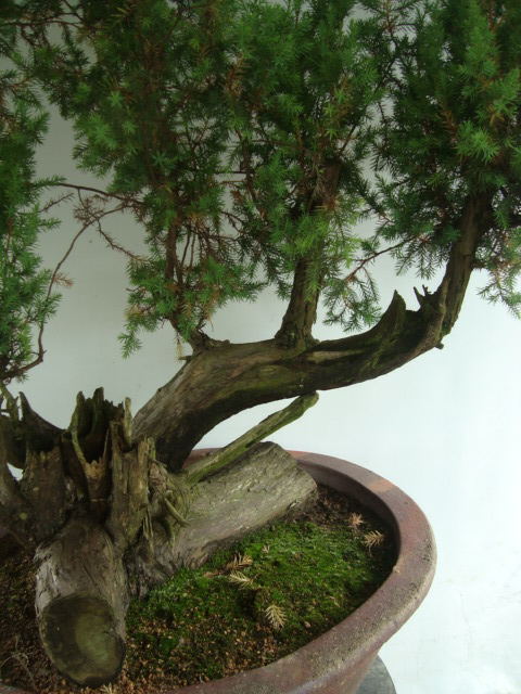 DSC07445_ͼ.jpg