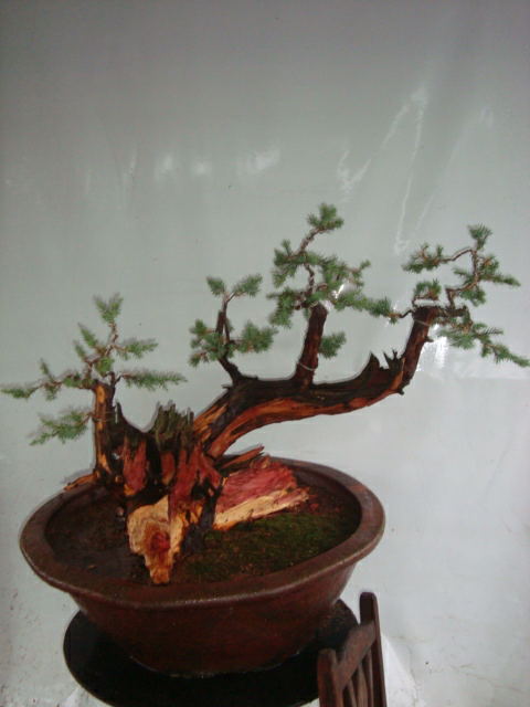 DSC07450_ͼ.jpg