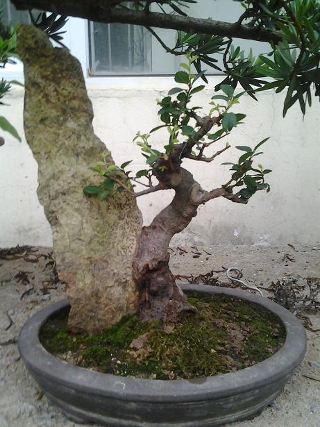2013-06-24 17.55.13.jpg