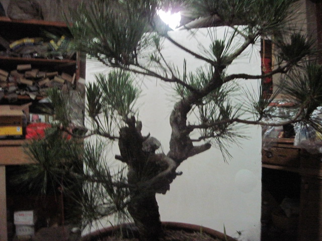 13-06-25 003.jpg