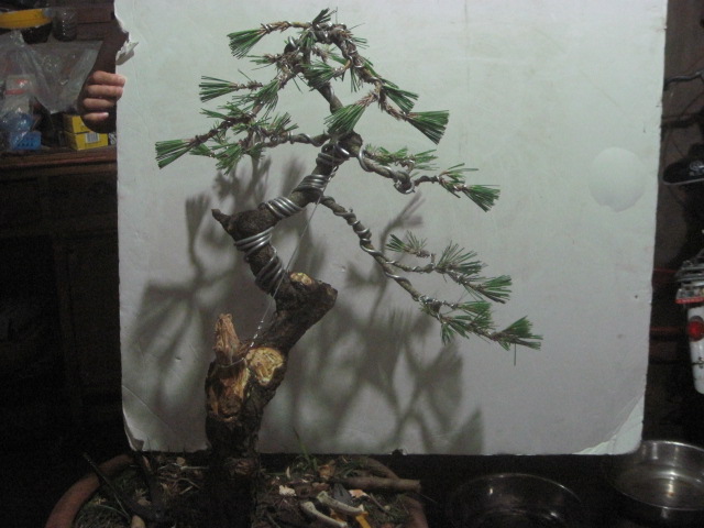 13-06-25 007.jpg