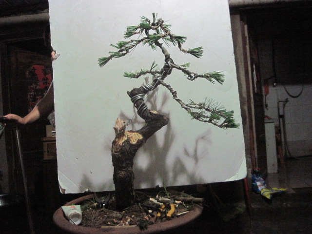 13-06-25 008.jpg