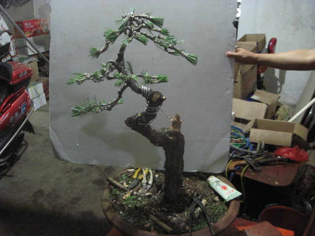 13-06-25 010.jpg