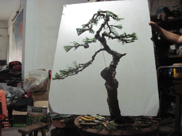 13-06-25 012.jpg