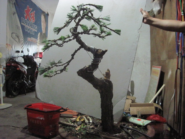 13-06-25 013.jpg