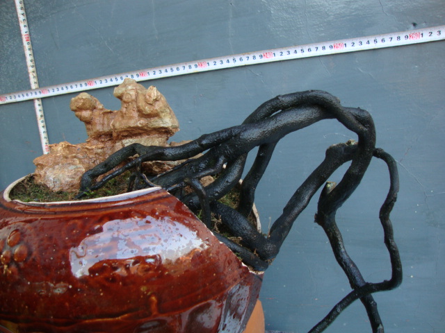 DSC06809.JPG