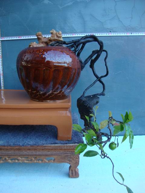 DSC06813.JPG