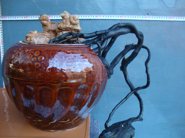 DSC06815.JPG