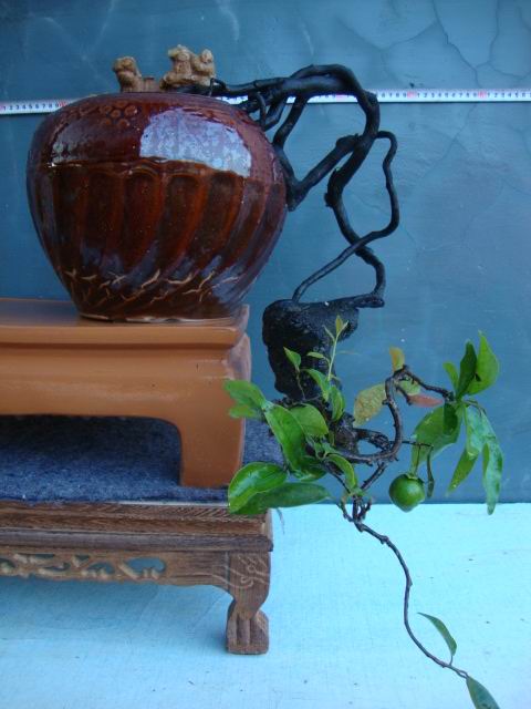 DSC06819.JPG