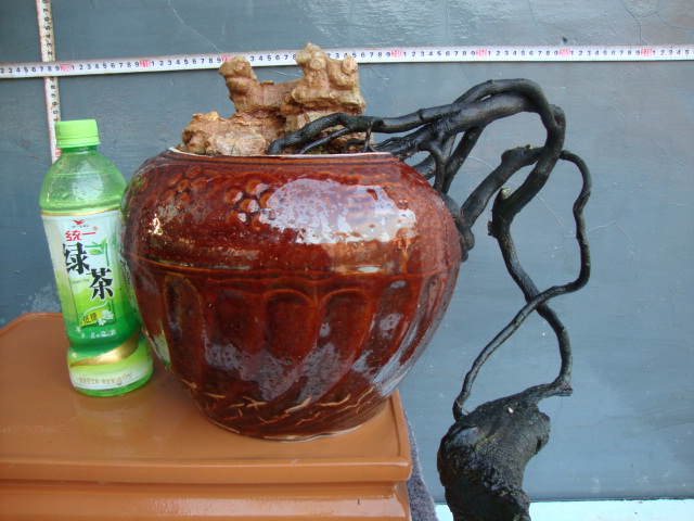 DSC06824.JPG