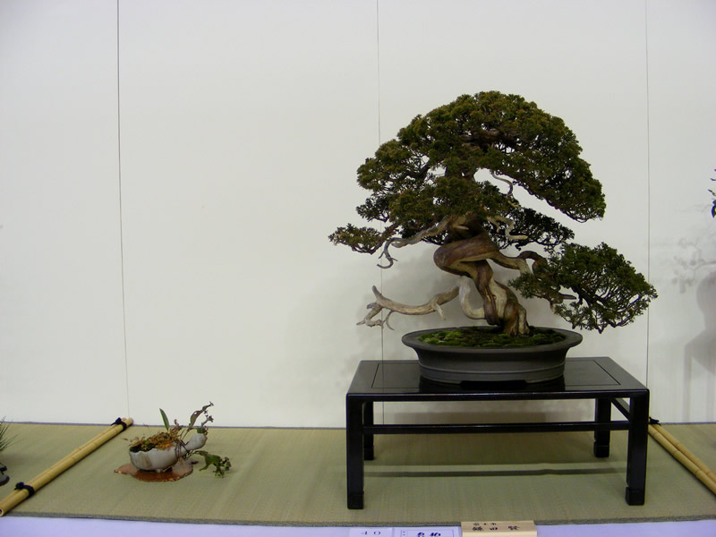 286-3.jpg