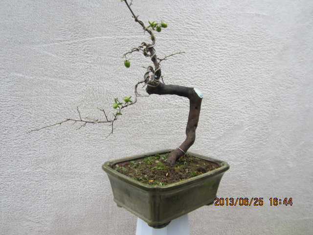 IMG_1790.JPG