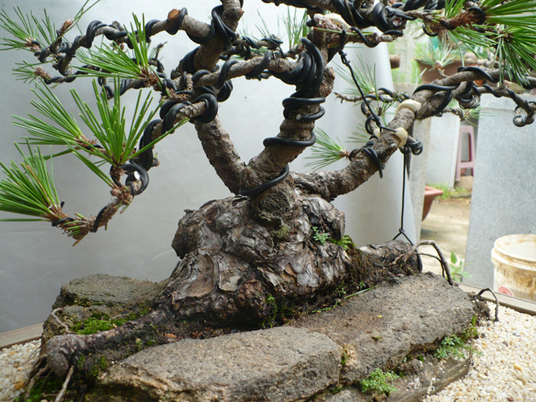 P1040174_.jpg