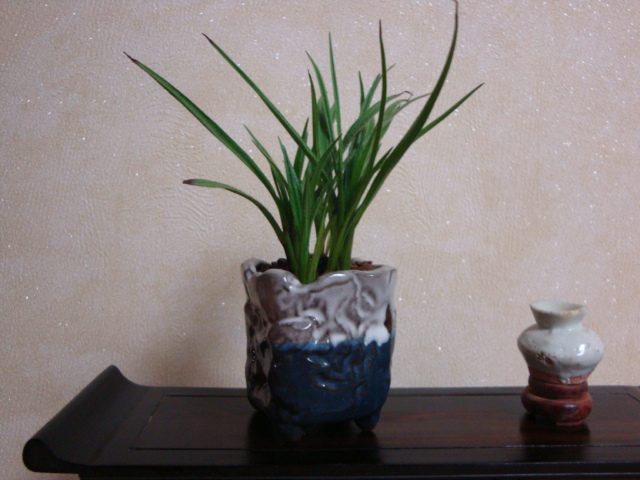DSC04299.JPG